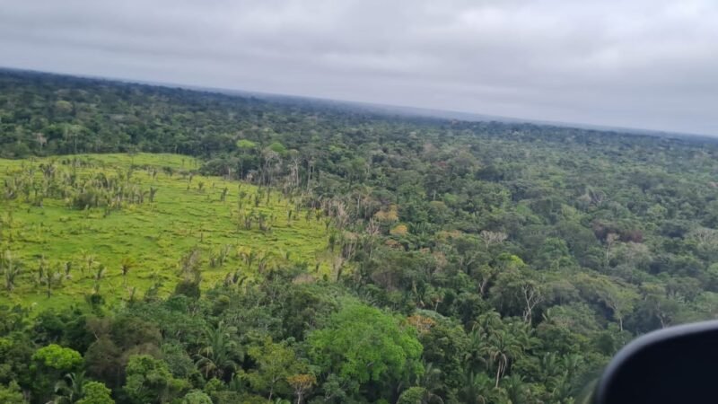 Novas Reservas de Desenvolvimento Sustentável são Criadas no Amazonas