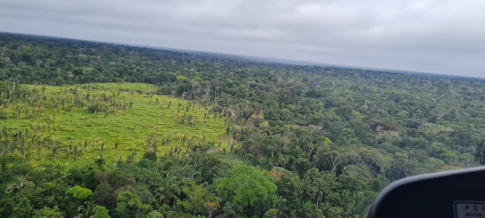 Novas Reservas de Desenvolvimento Sustentável são Criadas no Amazonas