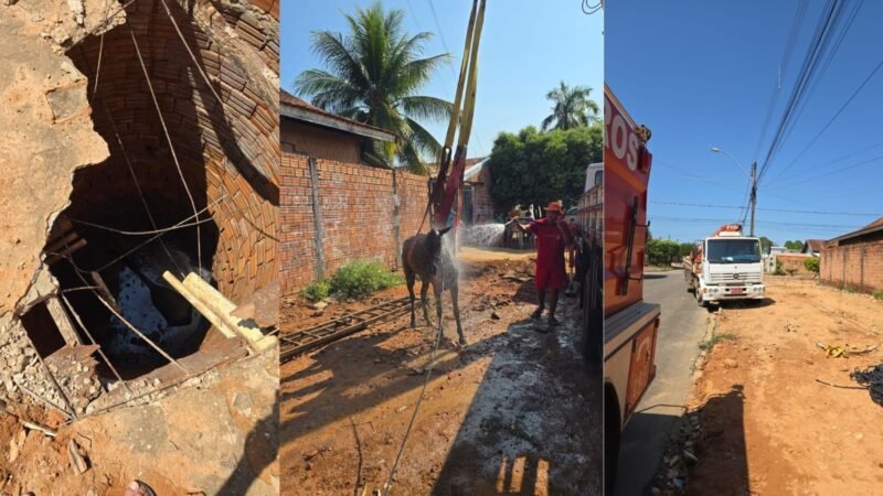 Égua é Resgatada Após Oito Horas em Fossa em Ji-Paraná, RO