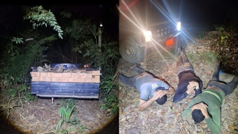 Três Suspeitos Presos por Extração Ilegal de Madeira na Flona Tapajós