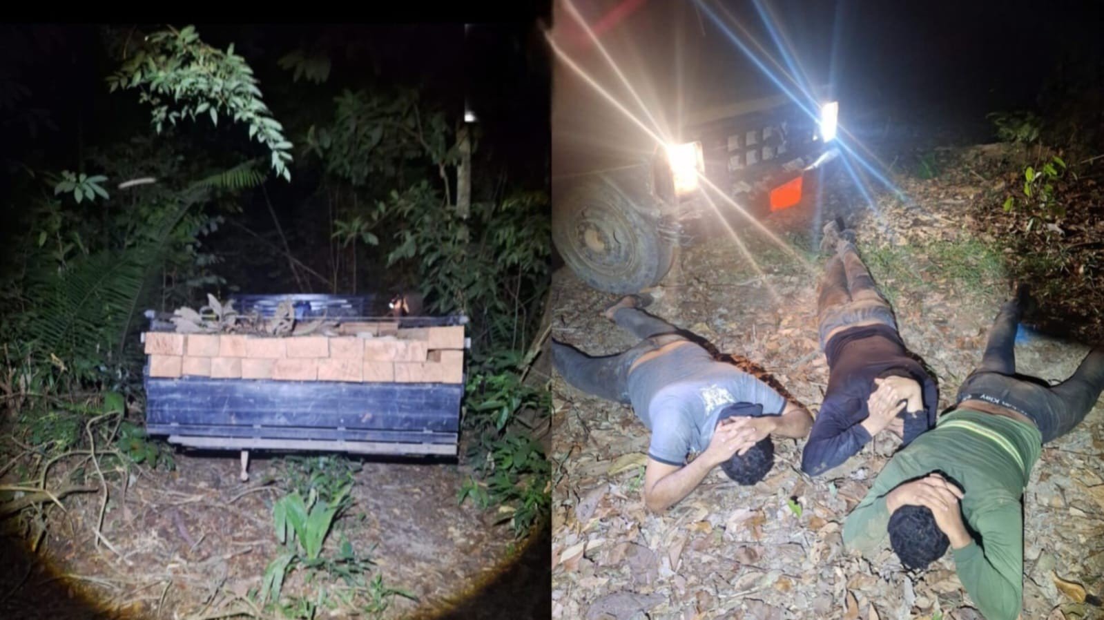Três Suspeitos Presos por Extração Ilegal de Madeira na Flona Tapajós