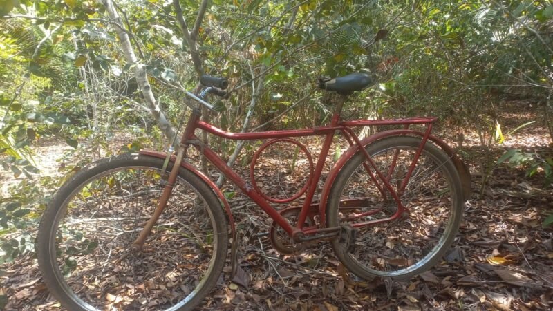 Jovem Devolve Bicicleta Após Arrependimento em Santarém