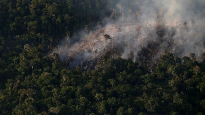Queimadas em Itaituba: Fumaça Interfere em Voo e Acende Alerta Judicial