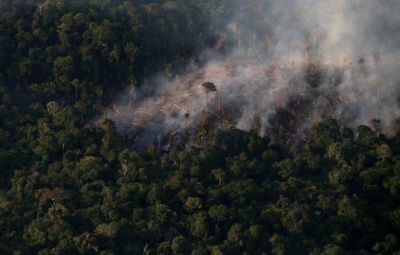 Queimadas em Itaituba: Fumaça Interfere em Voo e Acende Alerta Judicial