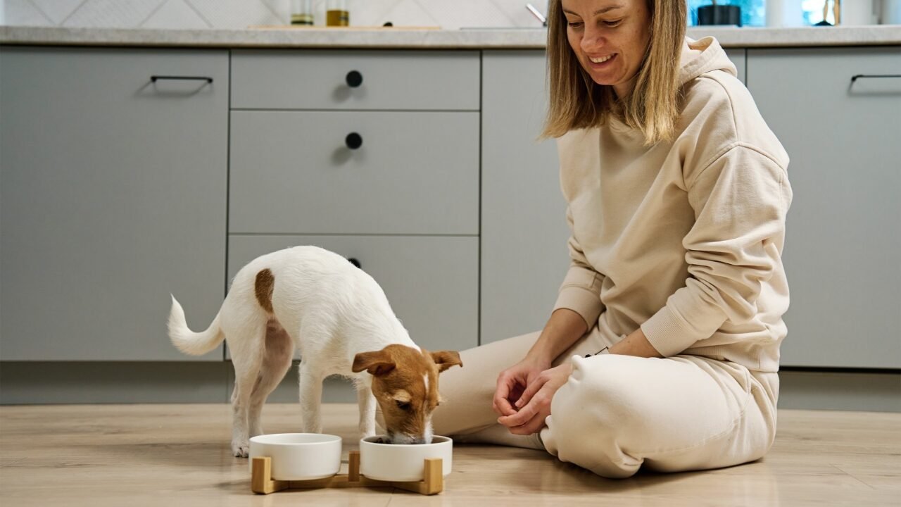 Ajustando a Dieta do Seu Pet: A Importância da Avaliação Constante