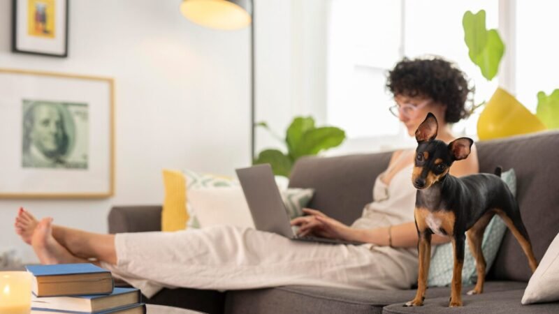 Cresce a Dependência de Inteligência Artificial para Orientações sobre Dieta de Animais de Estimação