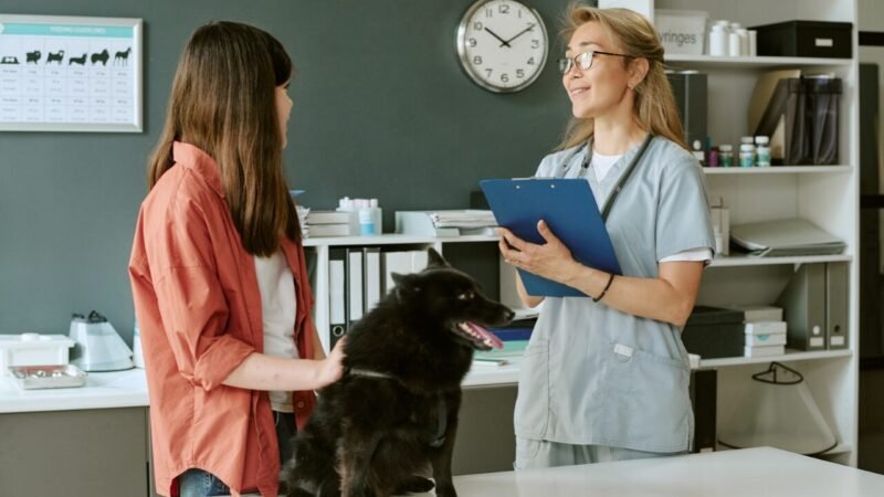 A Importância da Comunicação e da Decisão Consciente na Medicina Veterinária
