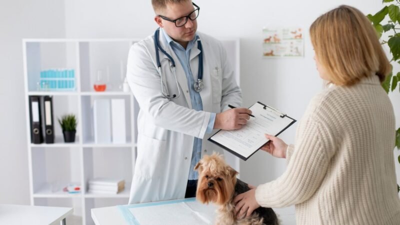 Desafios da Comunicação Veterinária em Tempos de Desinformação Digital