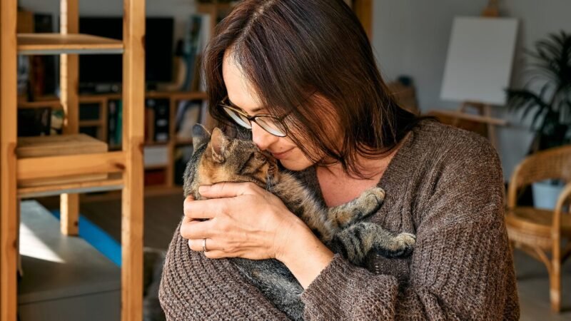 Crescimento do Mercado de Suplementos para Animais de Estimação nos EUA: Uma Nova Era de Bem-Estar