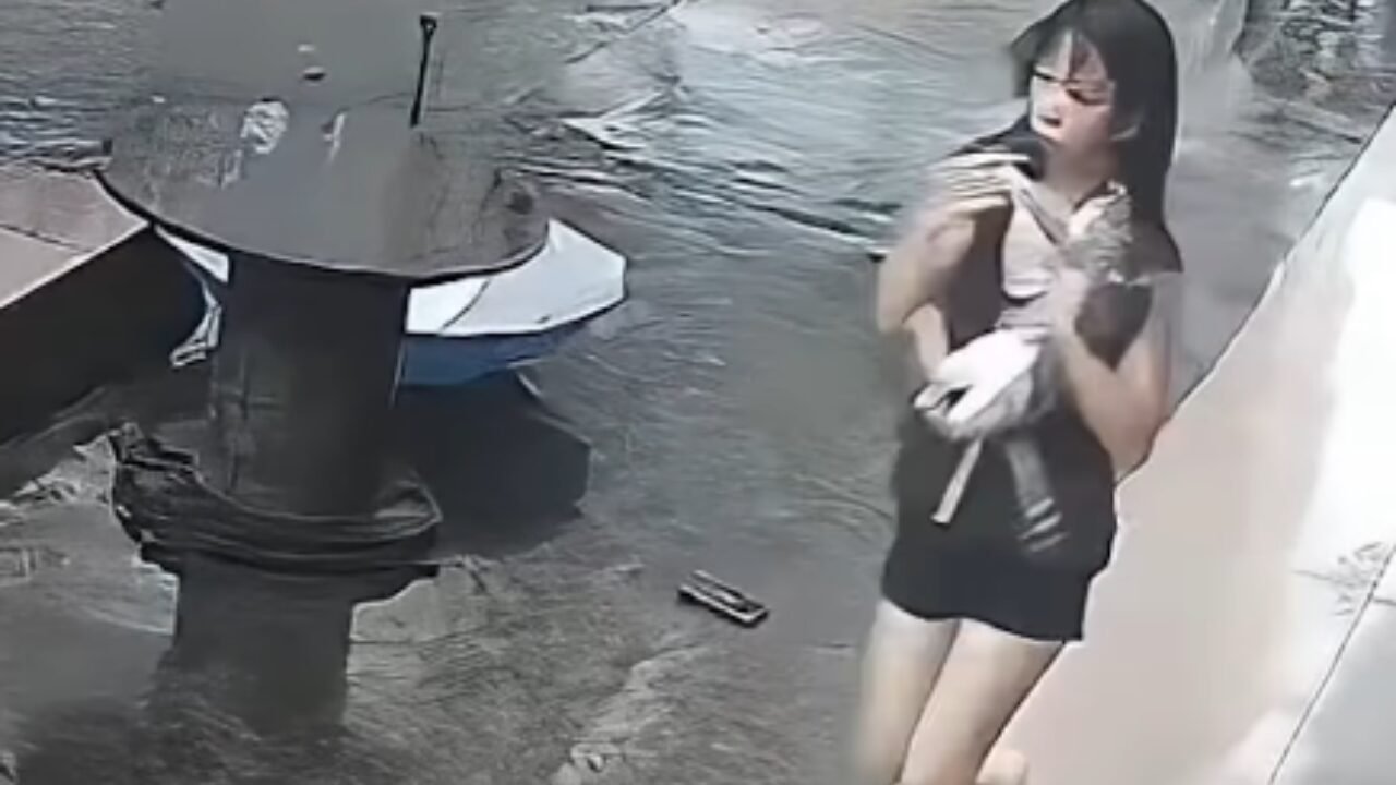 Heroína inesperada: Mulher salva gato em queda de prédio na China com guarda-chuva
