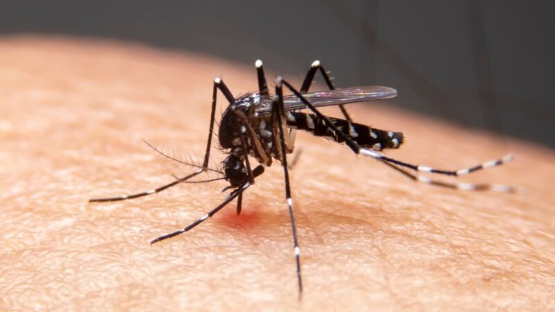 Impacto das Mudanças Climáticas nas Doenças Infecciosas no Brasil