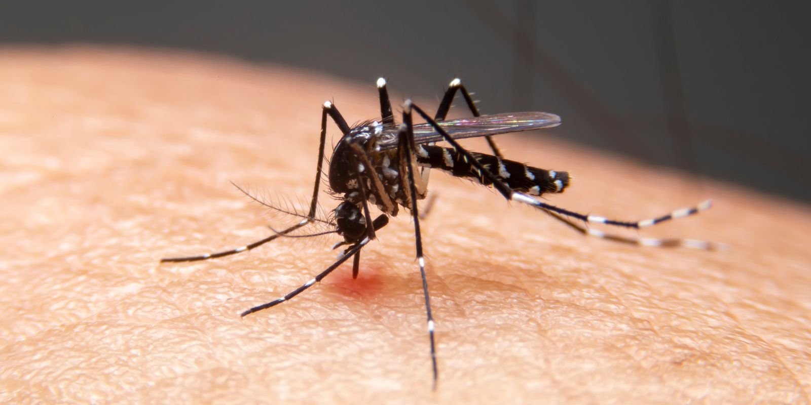 Impacto das Mudanças Climáticas nas Doenças Infecciosas no Brasil