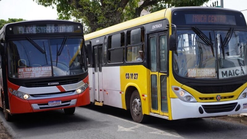 Transporte Gratuito em Santarém para Eleições: Tudo Que Você Precisa Saber