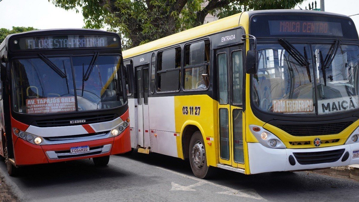 Transporte Gratuito em Santarém para Eleições: Tudo Que Você Precisa Saber
