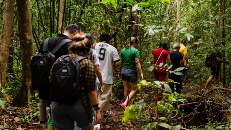 Experiências Amazônicas Durante o Círio de Nazaré 2026: Roteiros de Bioeconomia em Belém
