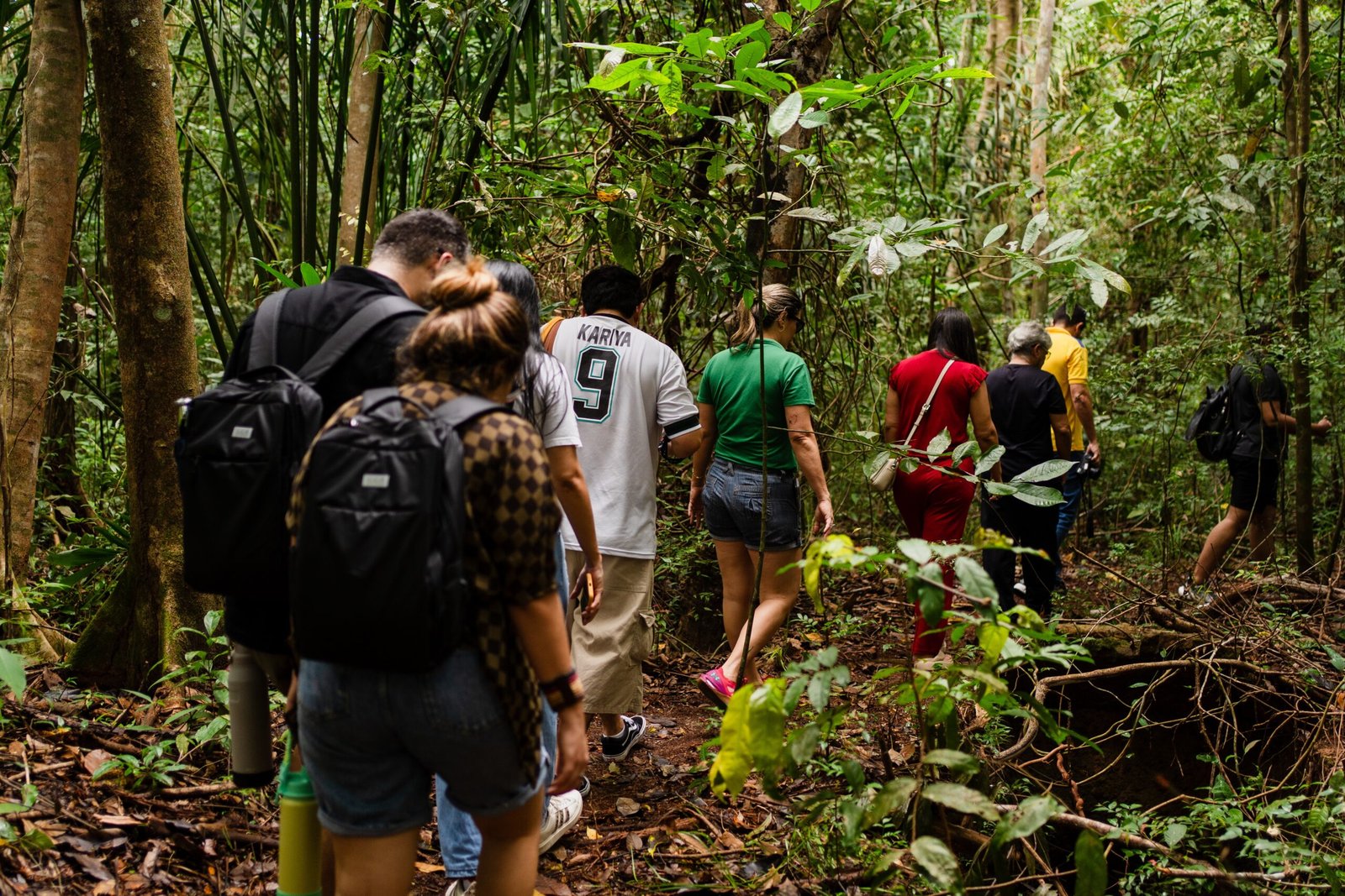Experiências Amazônicas Durante o Círio de Nazaré 2026: Roteiros de Bioeconomia em Belém