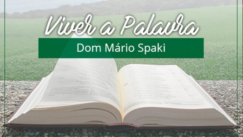 Reflexões sobre o Evangelho de Lucas 11,5-13 por Dom Mário Spaki