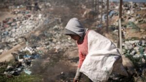 Dia Mundial da Alimentação: Inovação como Chave para o Futuro