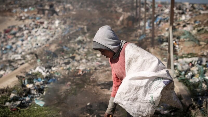 Dia Mundial da Alimentação: Inovação como Chave para o Futuro