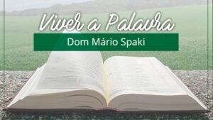 Reflexões sobre o Evangelho de Lucas 10, 25-37