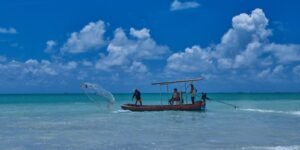 Consulta Pública para Revisão de Regras da Pesca Amadora e Esportiva