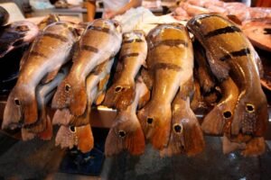 Financiamento de R$ 50 mil para Pescadores e Agricultores no Oeste do Pará