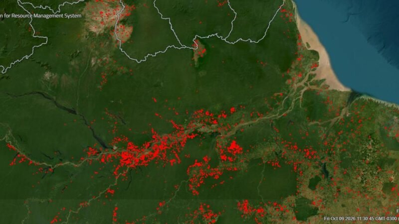 Incêndios no Oeste do Pará: Ameaças à Vegetação e Mobilização de Recursos