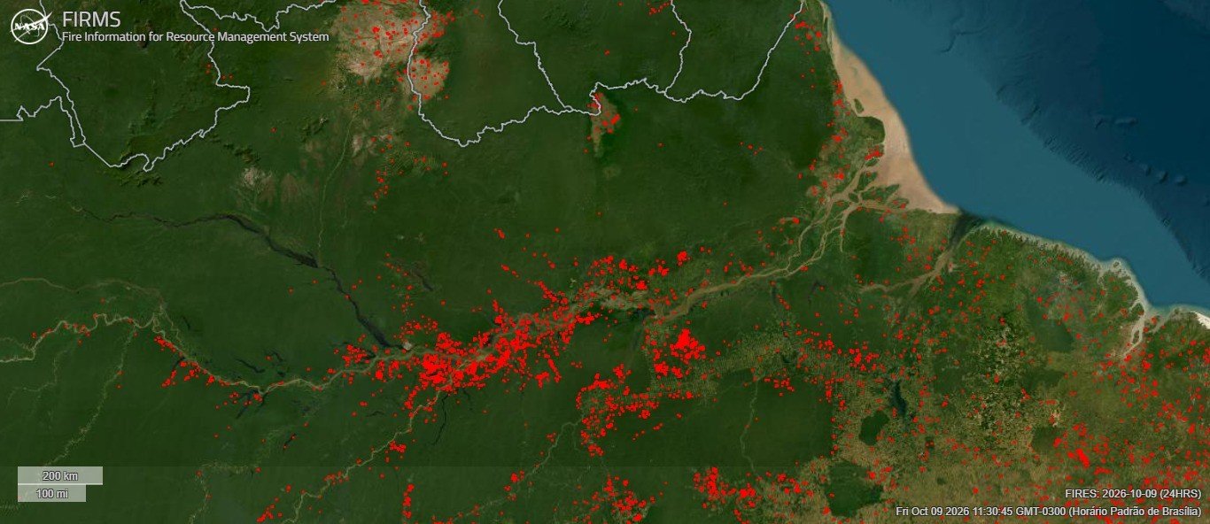 Incêndios no Oeste do Pará: Ameaças à Vegetação e Mobilização de Recursos