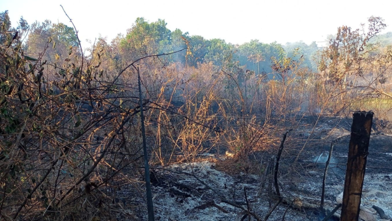Jacundá Declara Situação de Emergência Devido a Incêndios Florestais e Efeitos da Fumaça