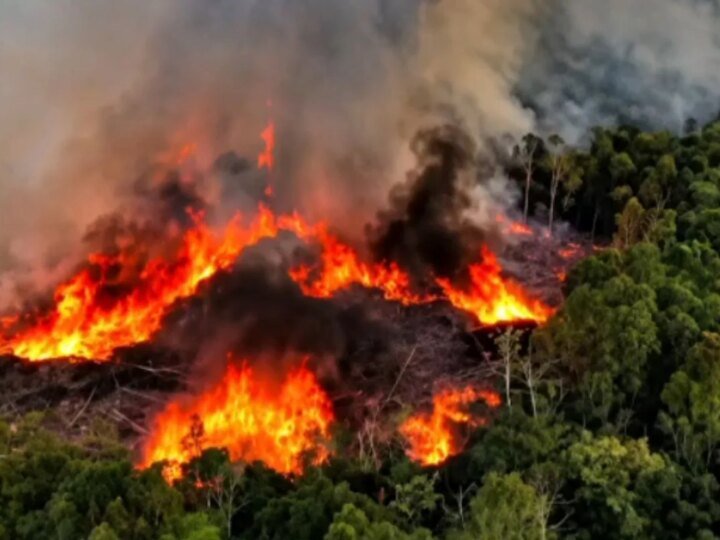 Governo Aumenta Frota de Aviões para Combate a Incêndios na Amazônia
