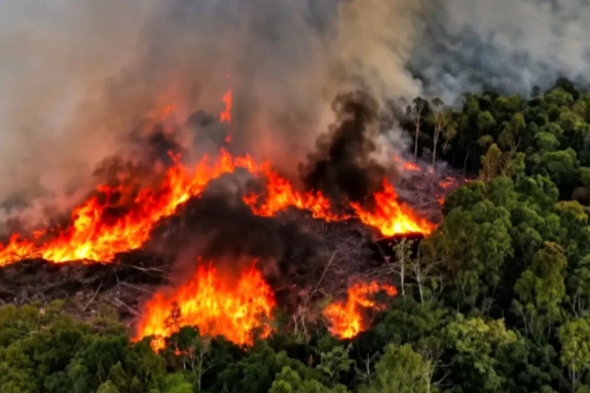Governo Aumenta Frota de Aviões para Combate a Incêndios na Amazônia