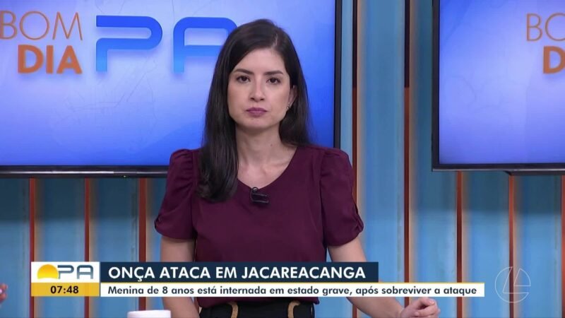 Resumo dos Vídeos do Telejornal BDP – 19 de Outubro