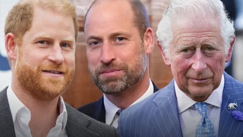 Príncipe Harry Aborda Luto Familiar e Busca Reconciliação com a Família Real