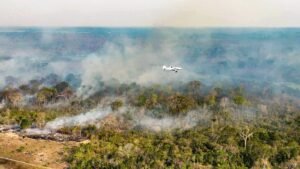 Justiça Federal Exige Esclarecimentos sobre Combate a Incêndios na Amazônia