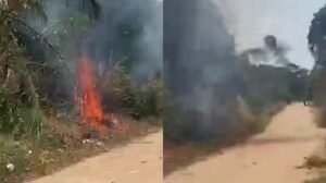 Adolescente Detido Após Suspeita de Incêndio em Área de Vegetação em Belterra