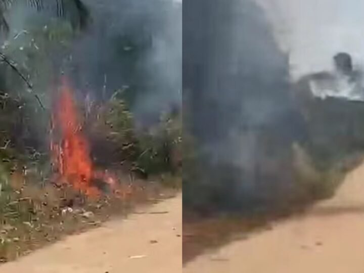 Adolescente Detido Após Suspeita de Incêndio em Área de Vegetação em Belterra