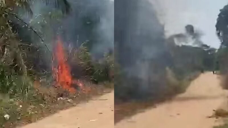 Adolescente Detido Após Suspeita de Incêndio em Área de Vegetação em Belterra