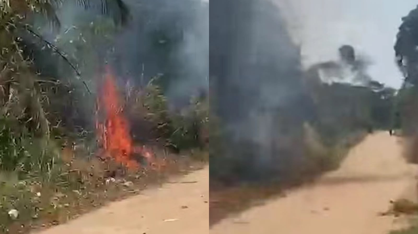 Adolescente Detido Após Suspeita de Incêndio em Área de Vegetação em Belterra