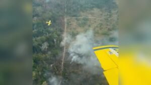 Incêndios no Pará: Aviões e Brigadistas em Ação Contra a Fumaça