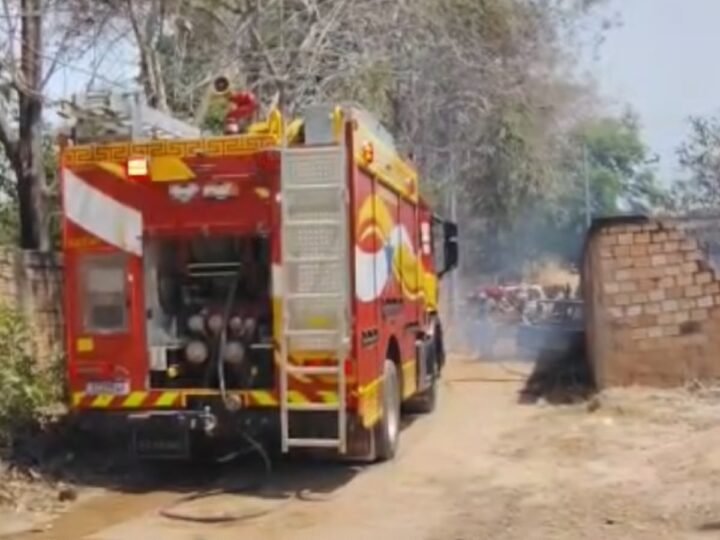 Incêndio em Santarém: Vegetação em Chamas Danifica Veículo e Ameaça Vida Silvestre